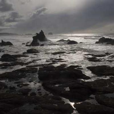 نوین تجارت ایرانیان