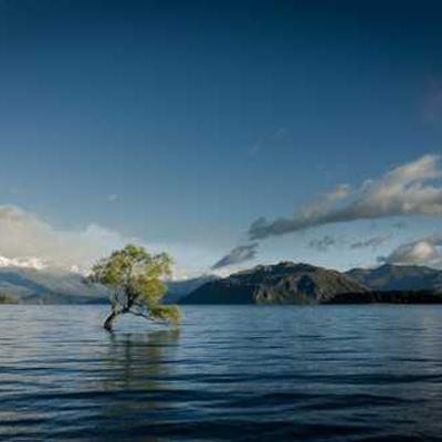 ایده‌پردازان دیجیتال