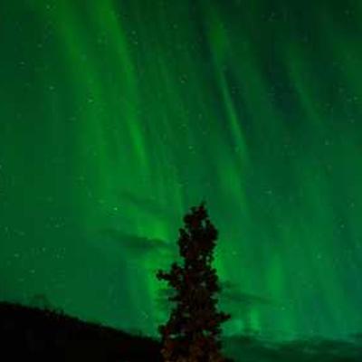 رباتیک ایران