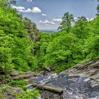 دکتر رضا کریمی