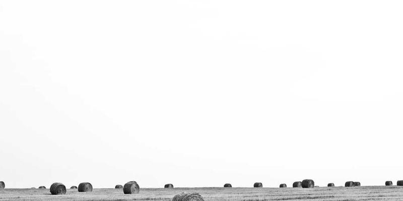 پنل تخصصی استارتاپ‌ها