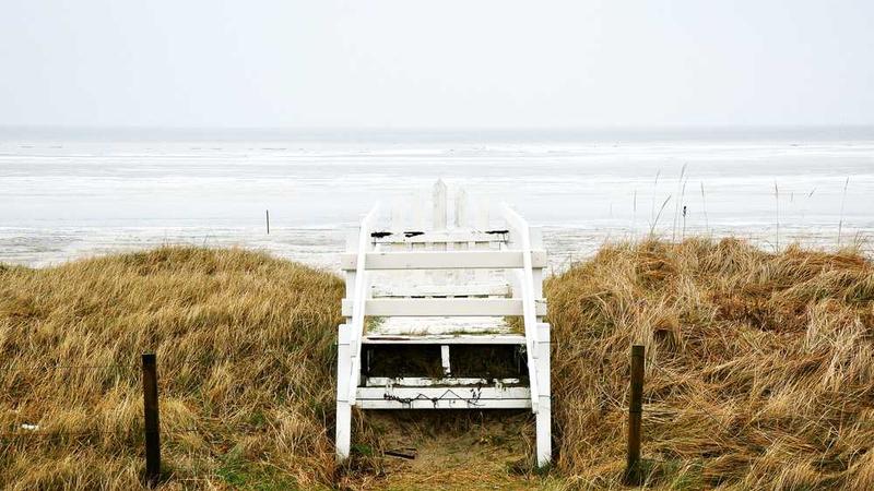 حمایت وزارت ارتباطات از الکامپ مازندران