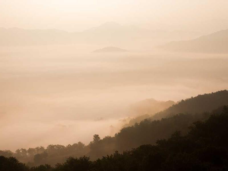 غرفه‌های نمایشگاهی