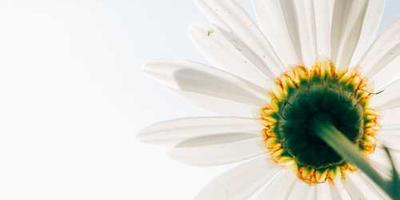 مازند رایانه